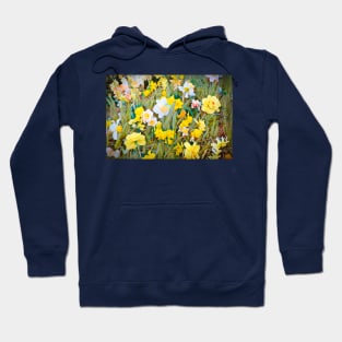 Daffodils 13 Hoodie